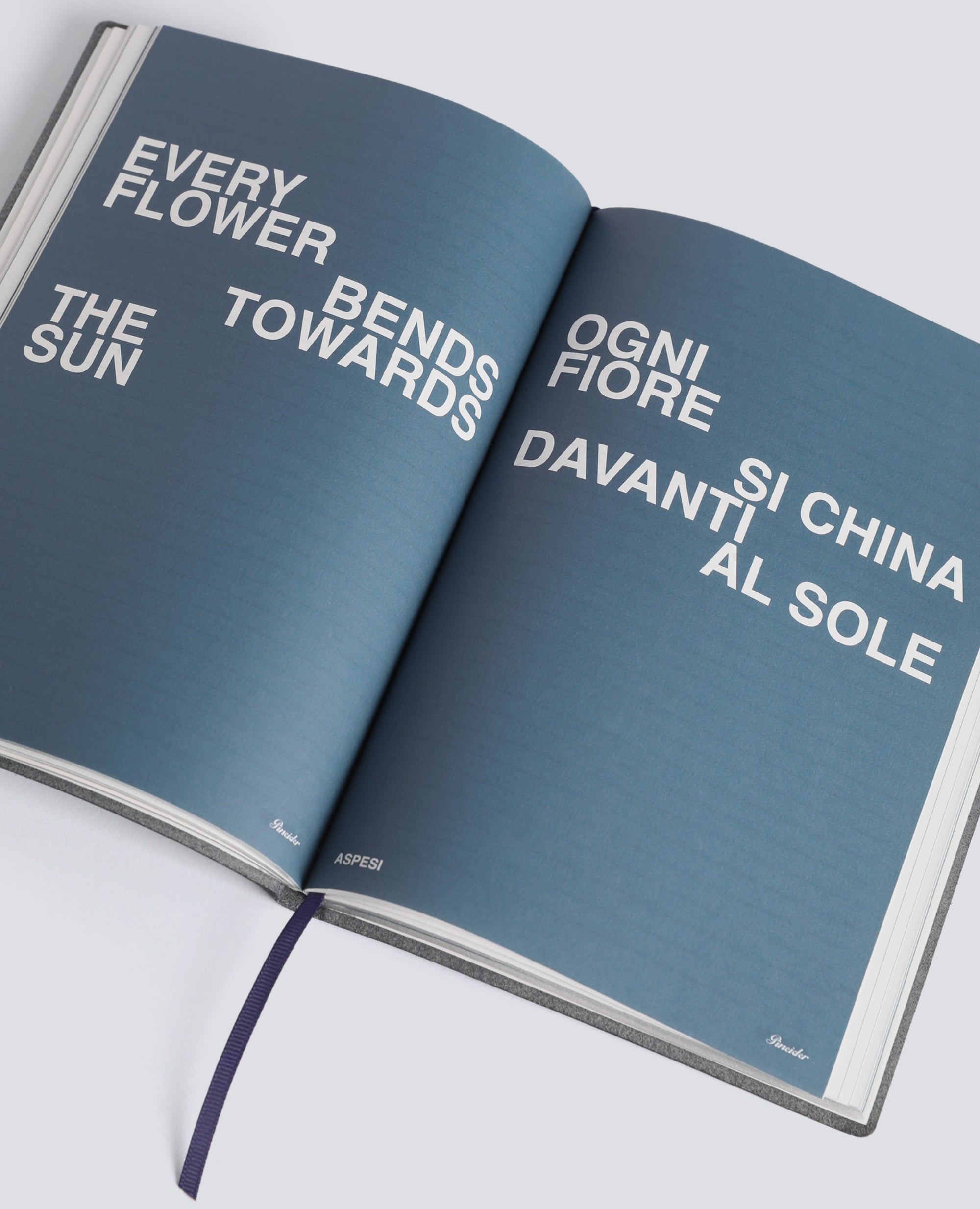 NOTEBOOK "NOT THIS YEAR" PINEIDER 1774 X ASPESI-BLU-BLUE-AZUL-BLAU-BLEU