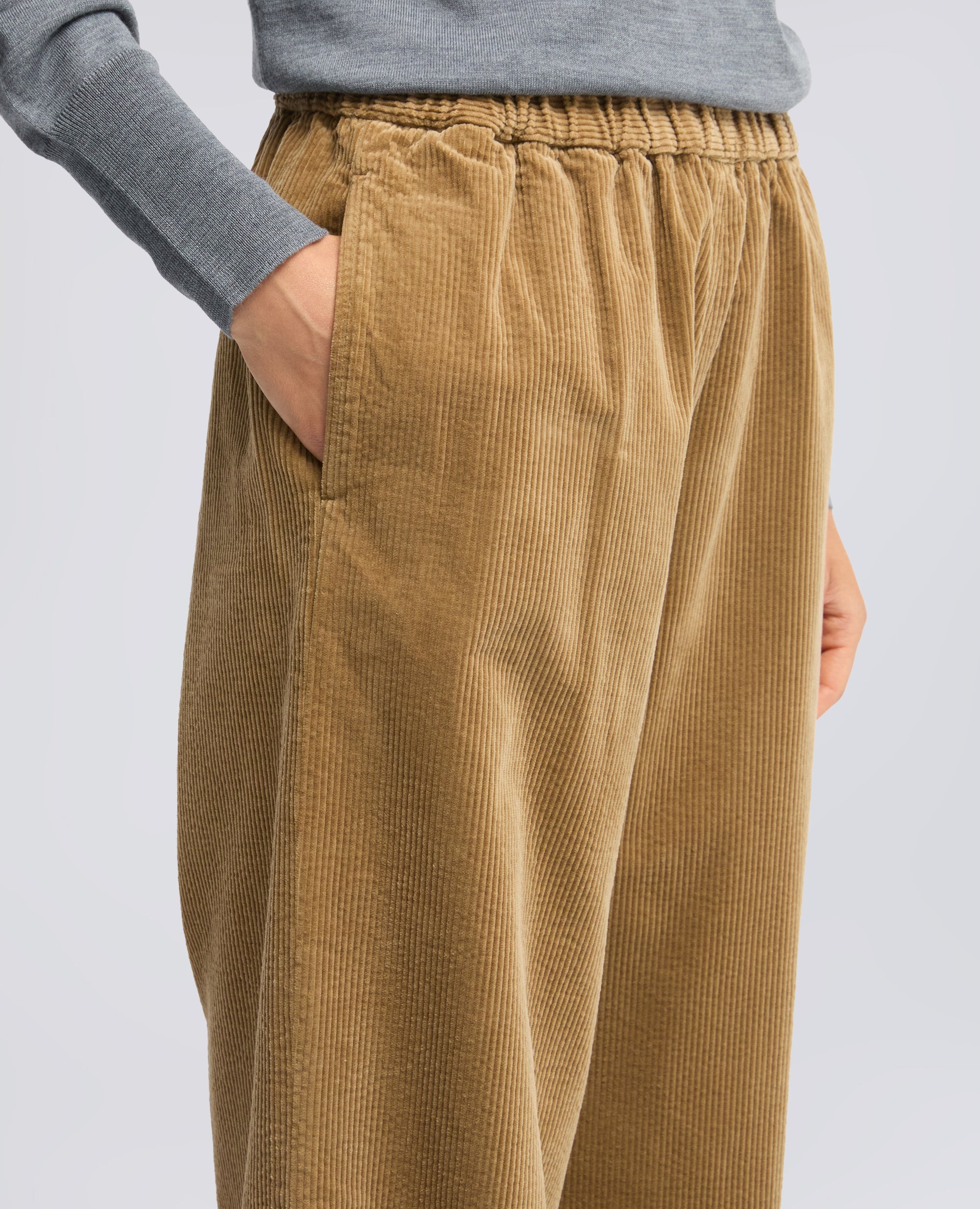 PANTALONE IN VELLUTO A COSTE 500 RIGHE DI COTONE TINTO CAPO - BEIGE - ASPESI