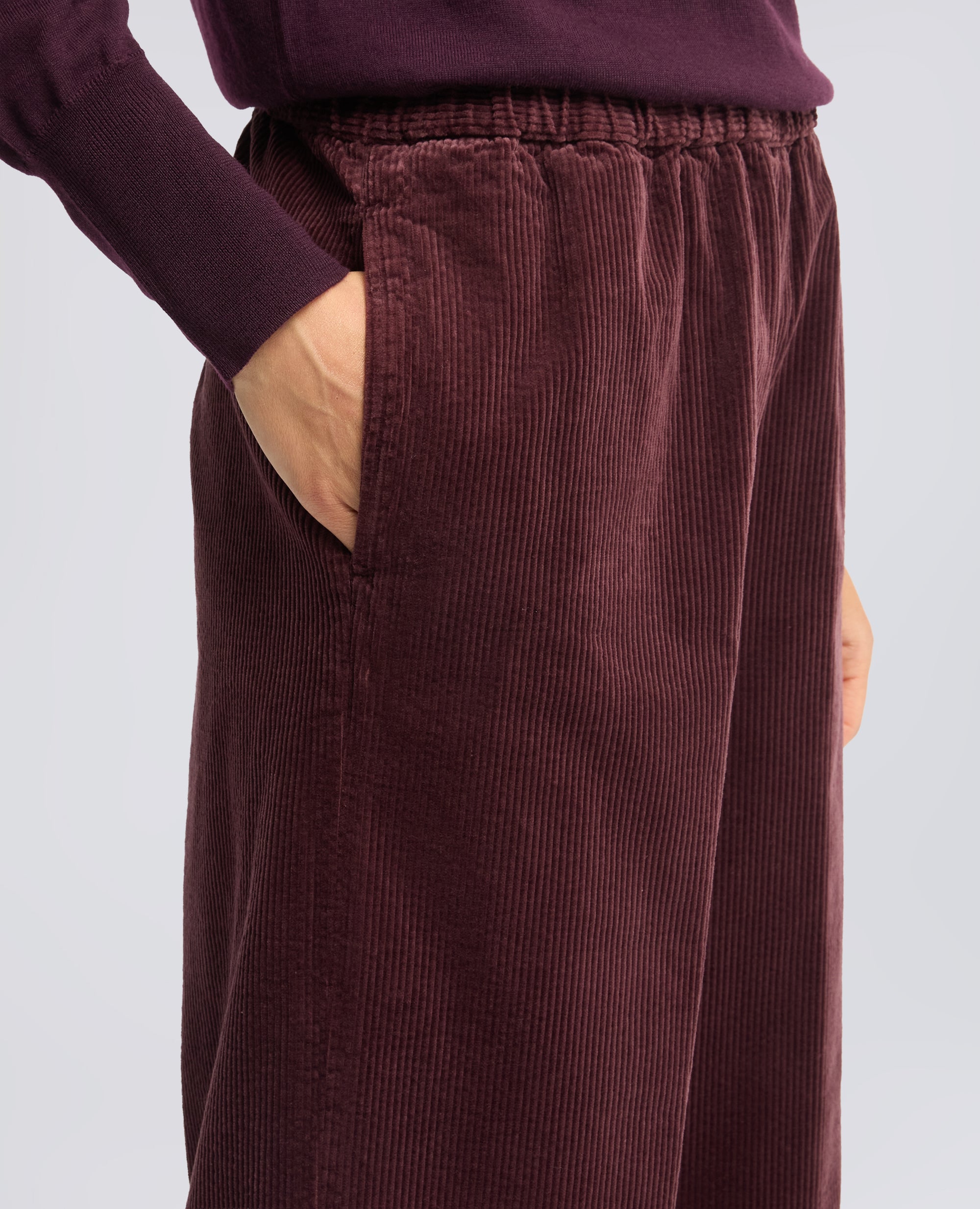 PANTALONE IN VELLUTO A COSTE 500 RIGHE DI COTONE TINTO CAPO - BARBERA - ASPESI