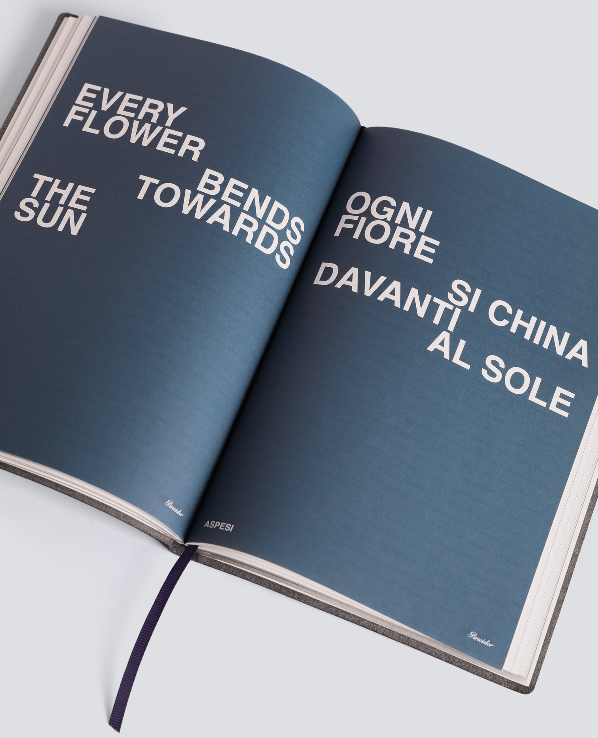 AGENDA "NOT THIS YEAR"-----