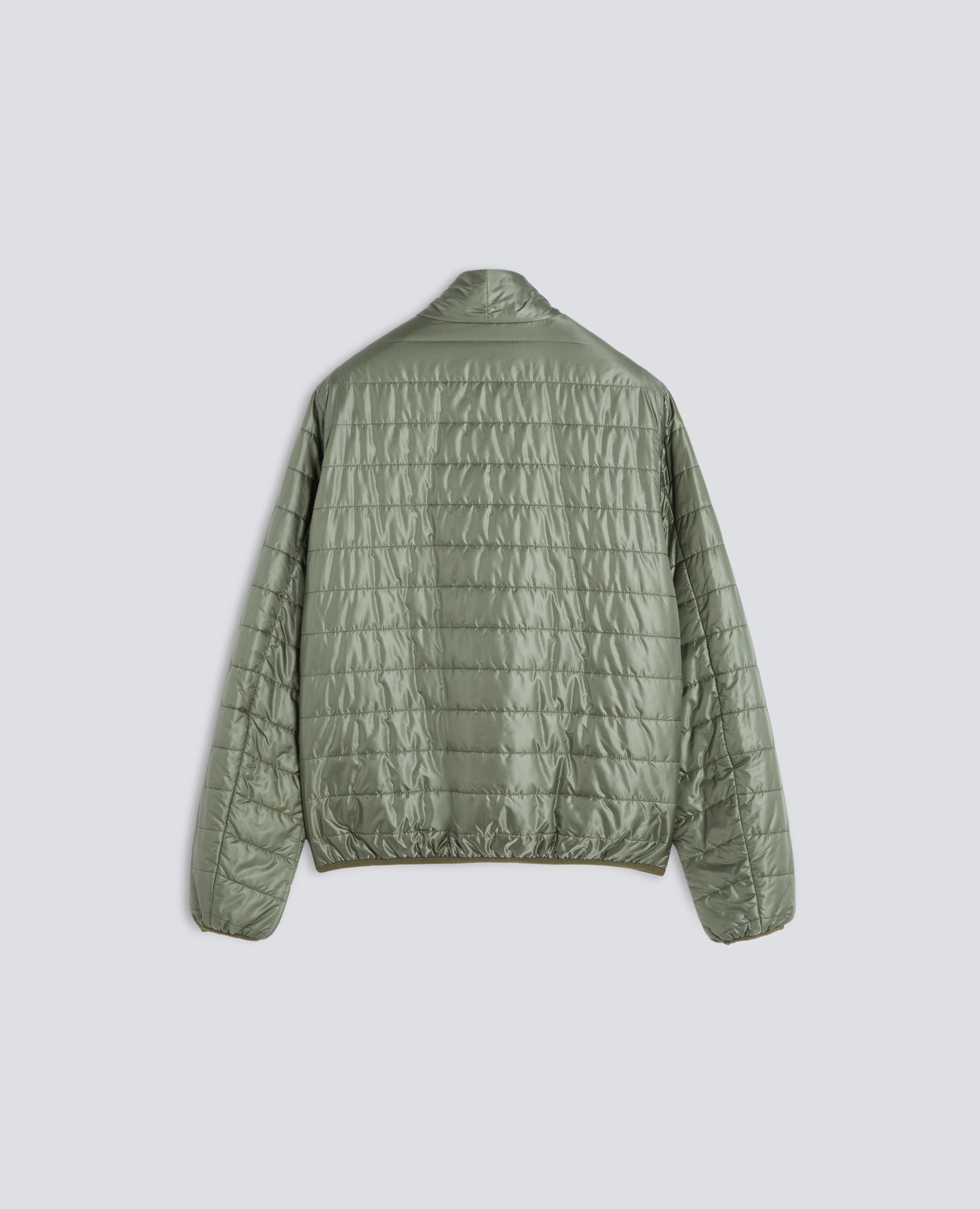 NEW PINOLO LIGHT-----